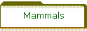 Mammals